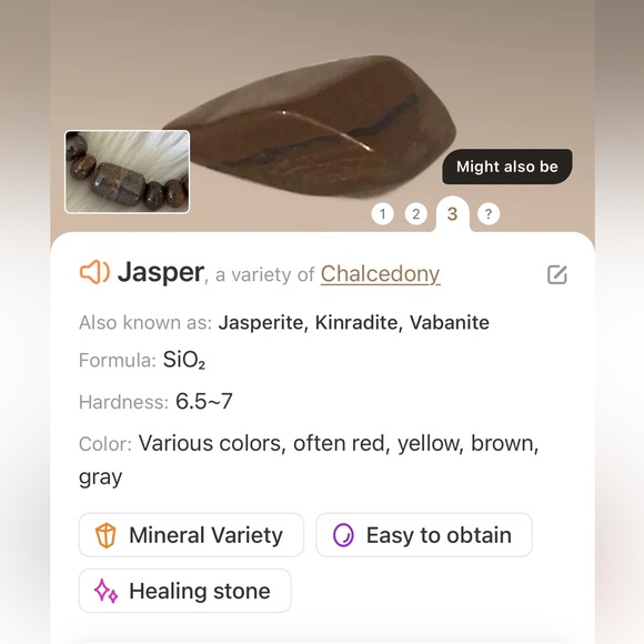 Jay King Mine Finds Brown Jasper Beaded Necklace - Picture 8 of 9